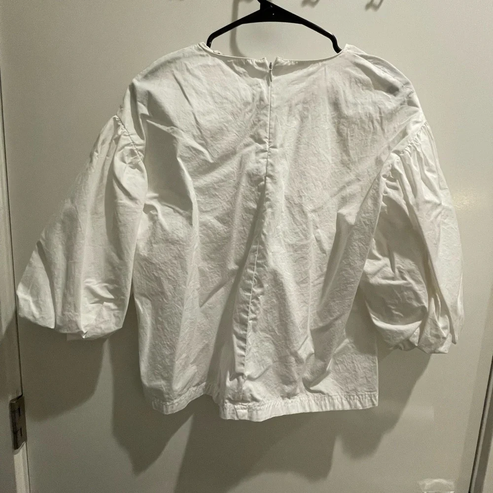 Zara - Picture 2 of 3